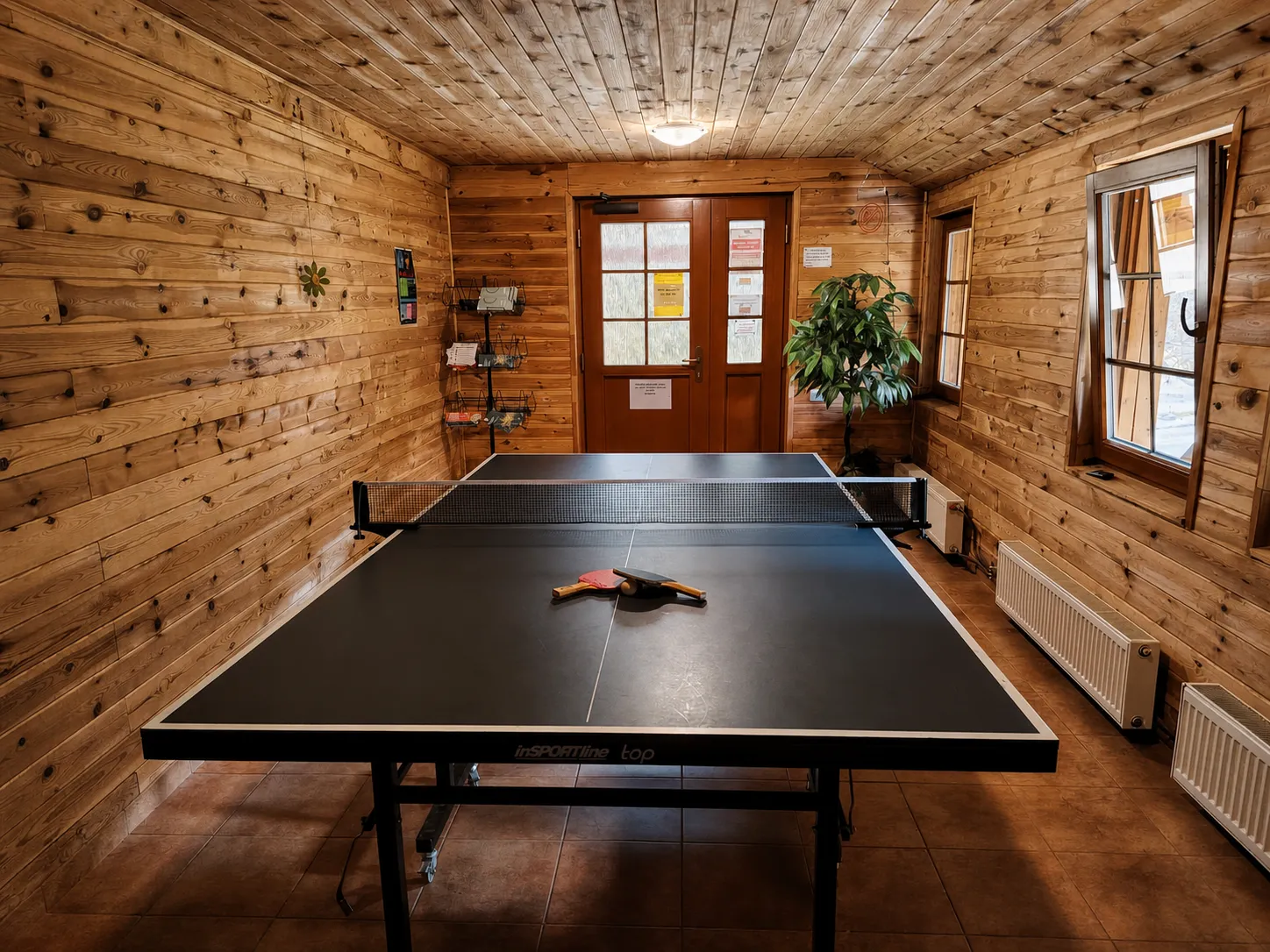 Stolní tenis - Ping Pong